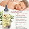 Private Label Eucalyptus Essential Oil Natural Rosemary Eucalyptus Lavender Rose Oil Moisturizer Massage Face Body Hair